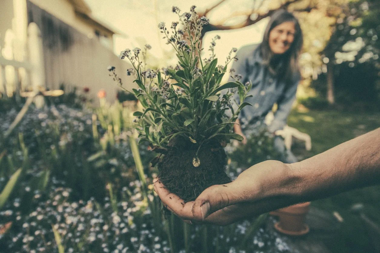 An outreached hand holding an unpotted plant in the garden, whilst a smiling person helps with the gardening in the background