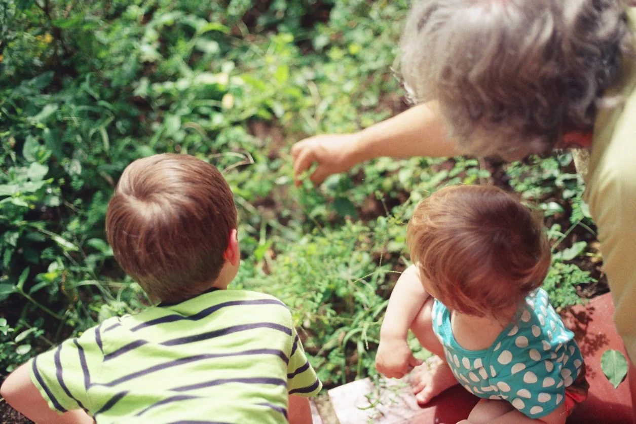 A grandmother gardening with her two young grandchildren